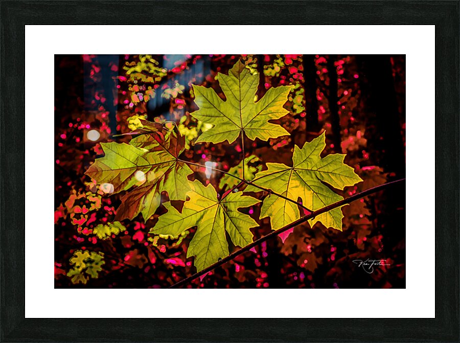 Fall Quartet Picture Frame print