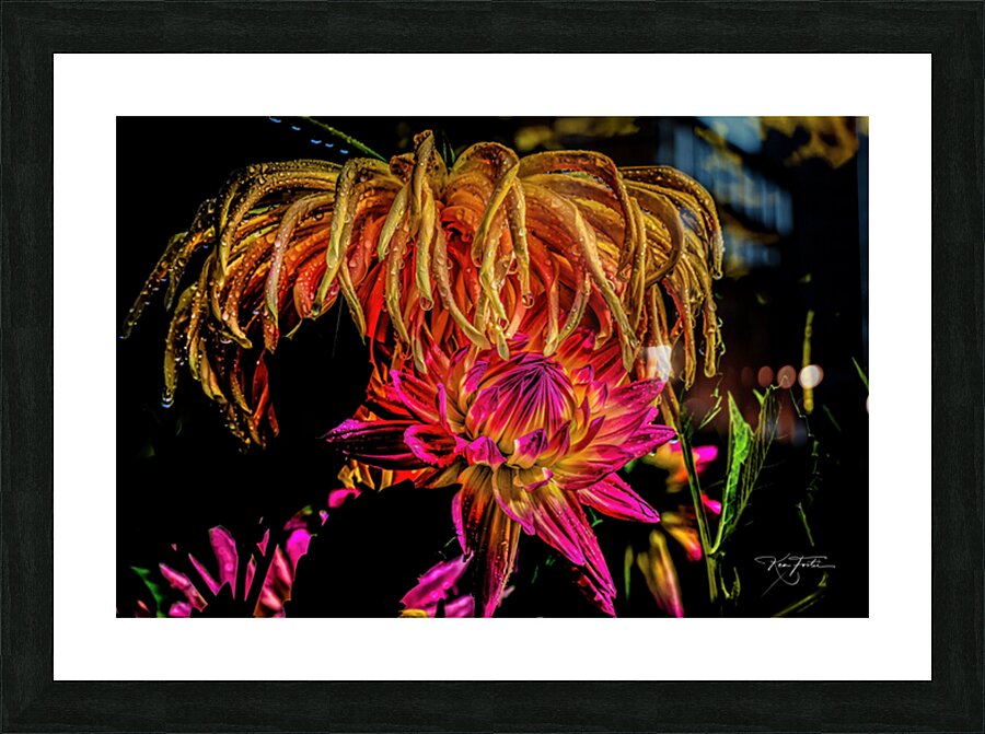 Fireworks Picture Frame print