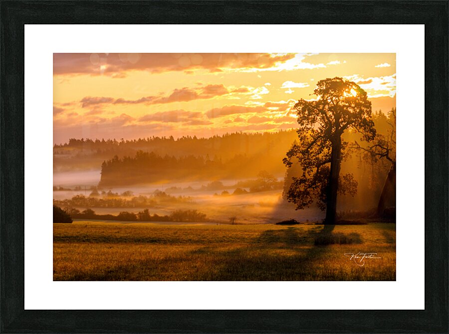 Golden Valley Picture Frame print