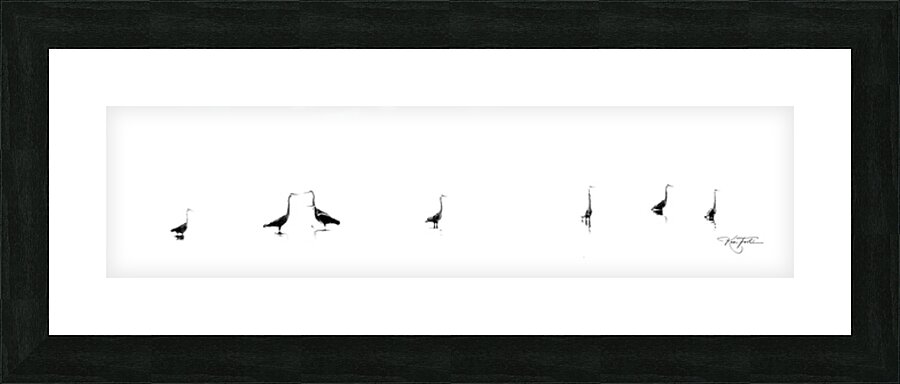Herons in a Row Picture Frame print