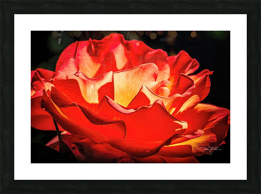 Light Rose Picture Frame print