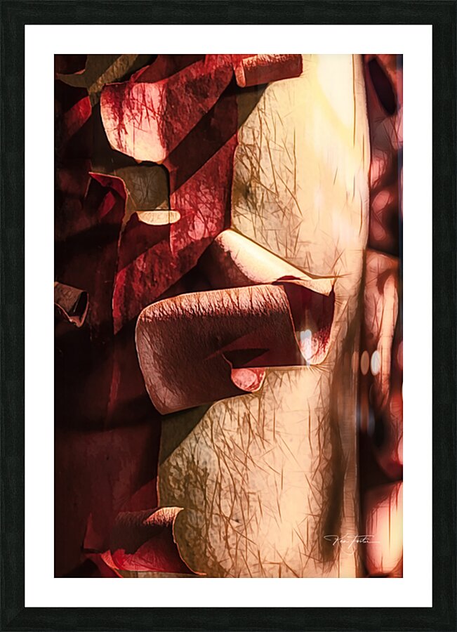 Madrona Curls 9 Picture Frame print