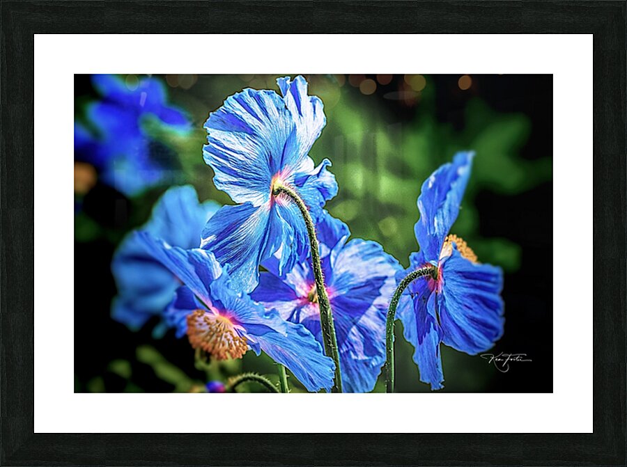 More Blue Picture Frame print
