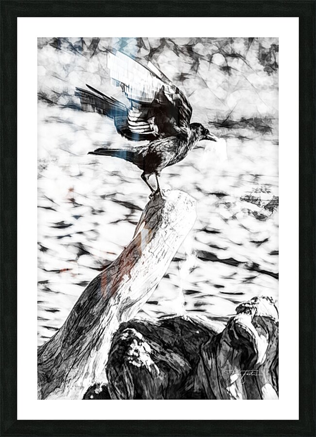 One Crow Picture Frame print