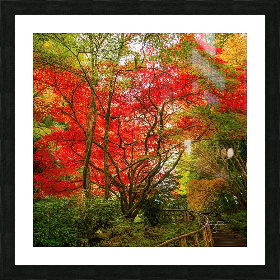 Invitation to Climb Picture Frame print