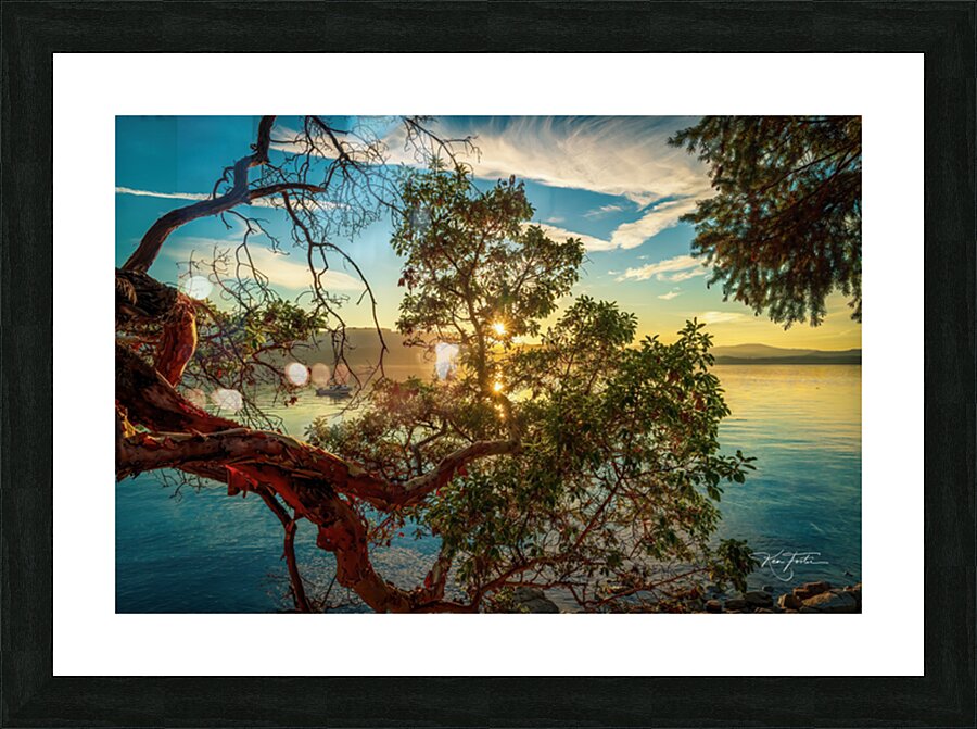 Many Suns Set Picture Frame print