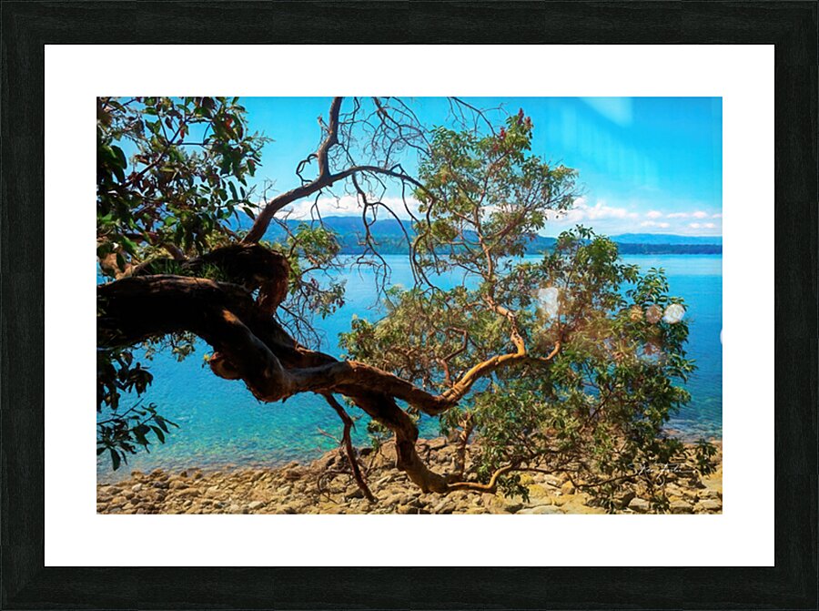 Chosen Shot Picture Frame print