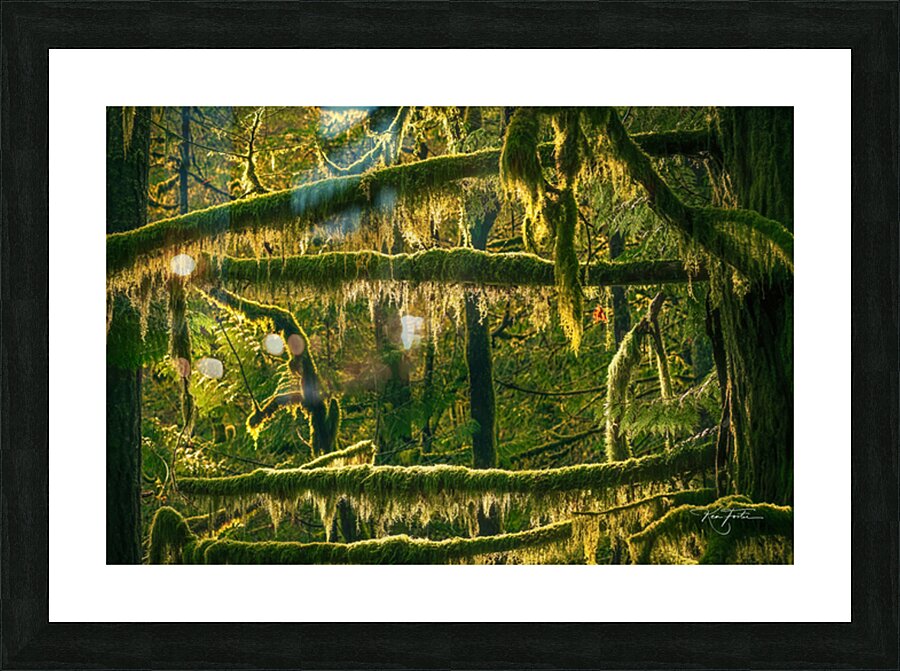 Hanging On Picture Frame print