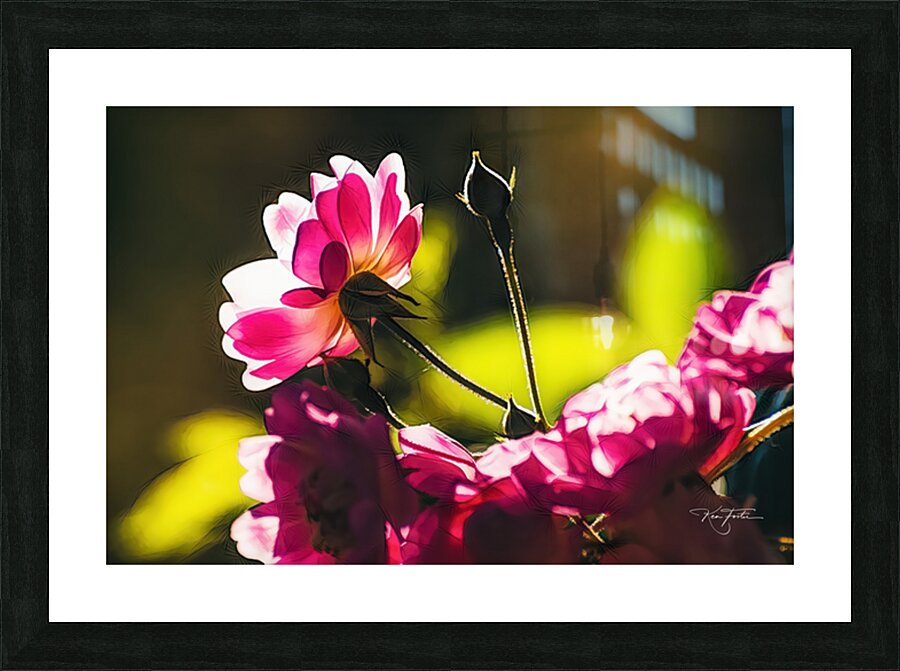 Nameless Rose Picture Frame print