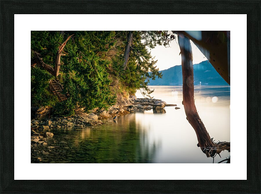 Night Heron Picture Frame print