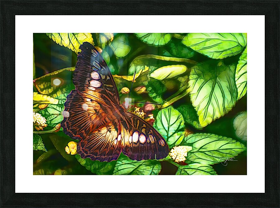 Spot Moth Picture Frame print