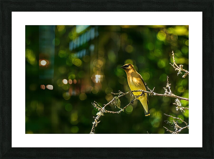 Something Over There Picture Frame print