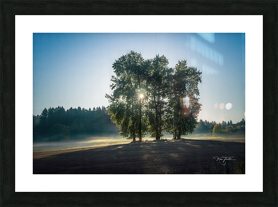 Three Trees Picture Frame print