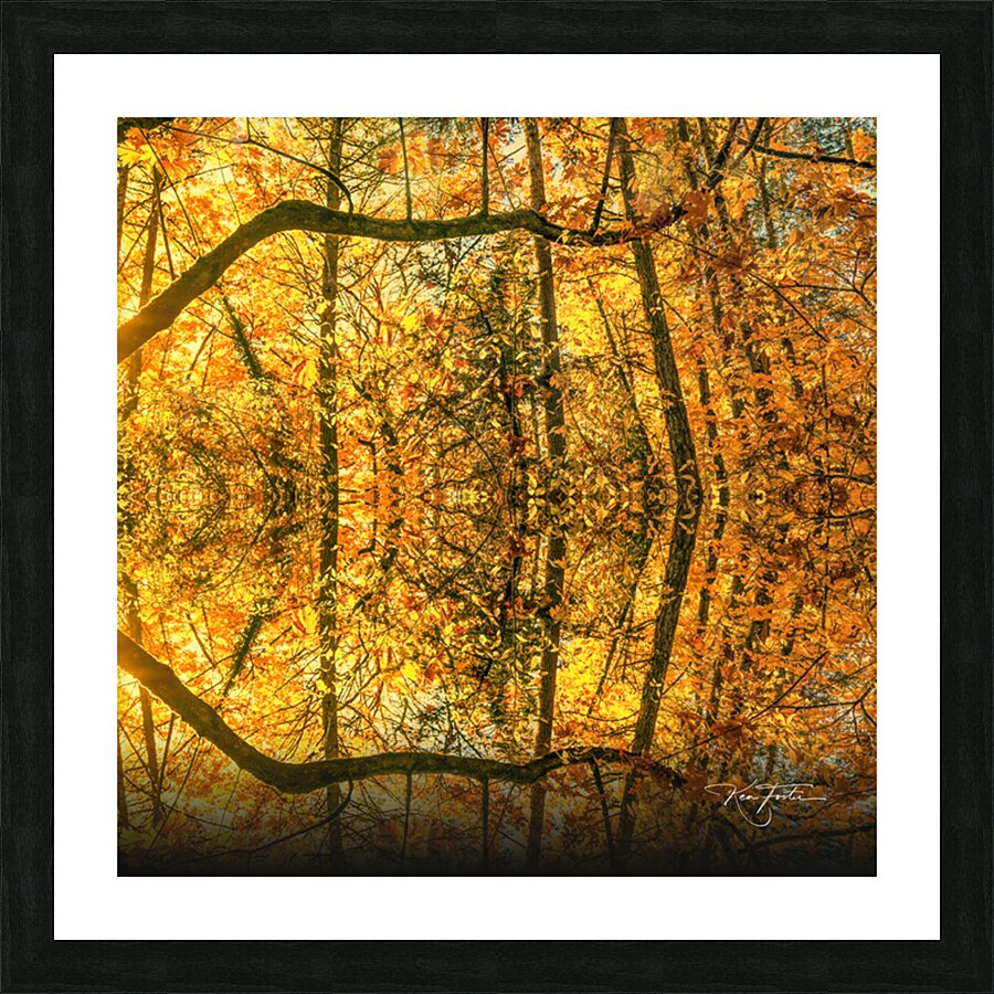 Branch and Sun Picture Frame print