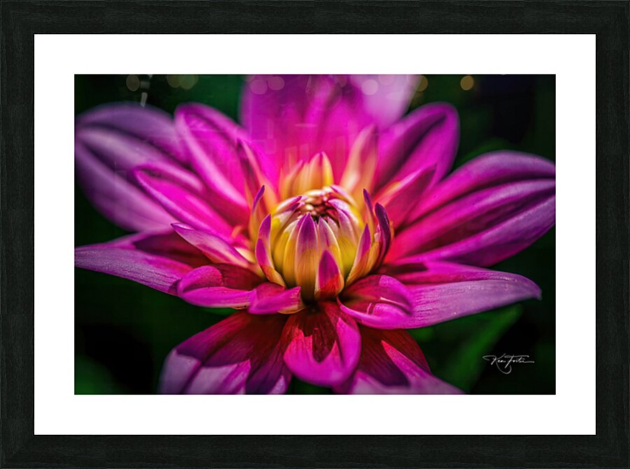 Gift Opening Picture Frame print
