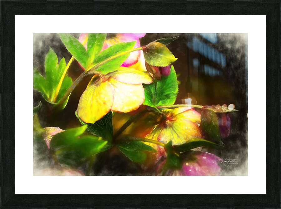 Down Looking Picture Frame print