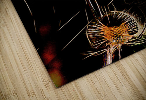 Spikes Ken Foster puzzle