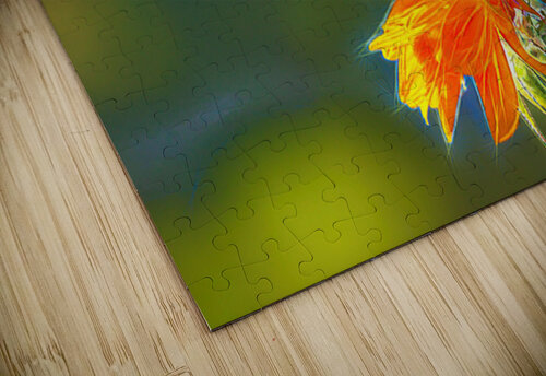 Sun Seeker Ken Foster puzzle