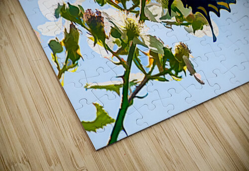 Swallowtail Ken Foster puzzle