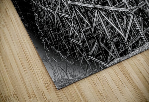 Trestle North Ken Foster puzzle