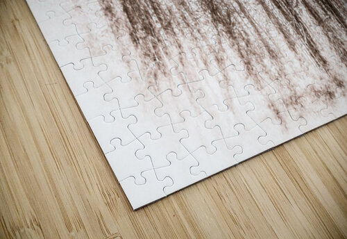 Trees for the Forest Ken Foster puzzle