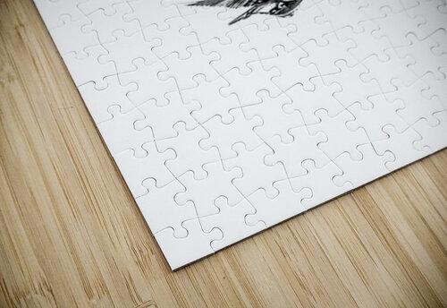When Fish Fly Ken Foster puzzle