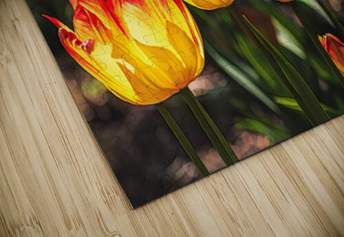 Yellow With Red Ken Foster puzzle