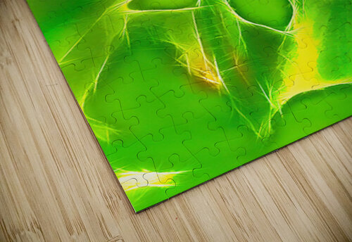 Yellow Poppy Ken Foster puzzle