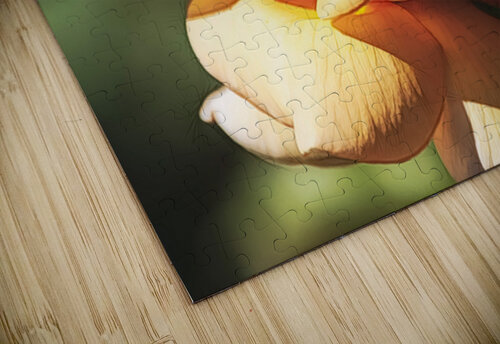 Yellow Flakes Ken Foster puzzle