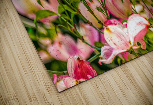A Few Blossoms Ken Foster puzzle