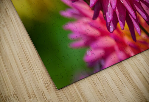 Au Naturel Ken Foster puzzle