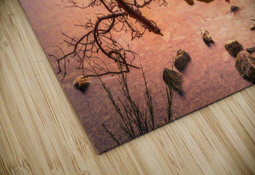 Bark Peel Ken Foster puzzle