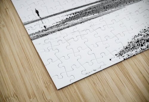 Beach Balance Ken Foster puzzle
