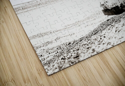 Beach Stern Ken Foster puzzle