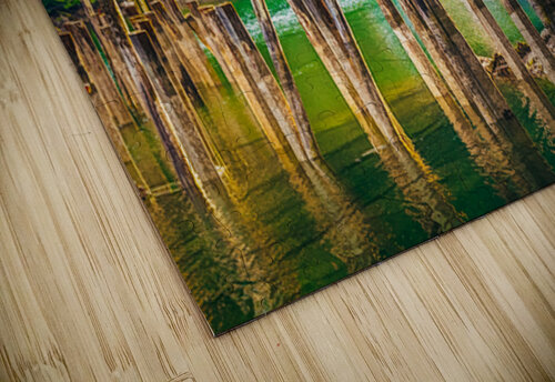 Busy Silence Ken Foster puzzle