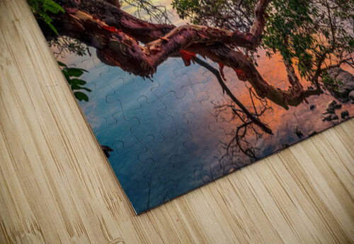 Branching Out Ken Foster puzzle