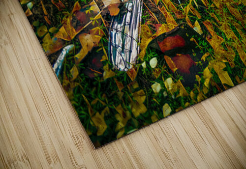 Chrome s Still Good Ken Foster puzzle