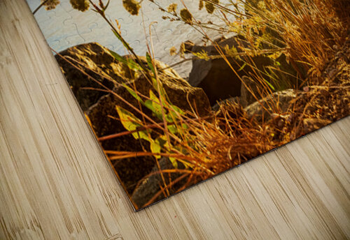 Coastal Trail Ken Foster puzzle