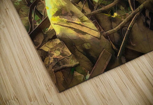 Crumpled Wheel Ken Foster puzzle