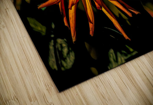 Dahlia Fire Ken Foster puzzle