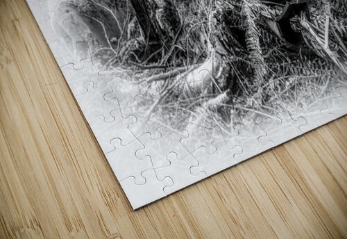 Disappearance Ken Foster puzzle