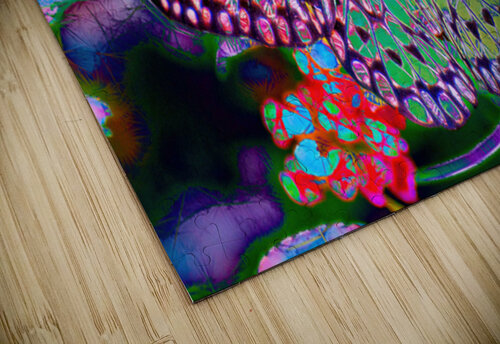 Faeriefly Ken Foster puzzle