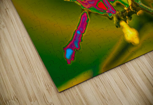 Electric Dragonfly Ken Foster puzzle