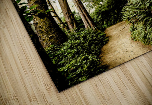 Fern Path Ken Foster puzzle