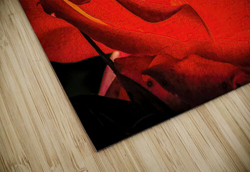 Light Rose Ken Foster puzzle