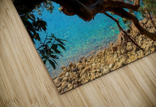 Chosen Shot Ken Foster puzzle