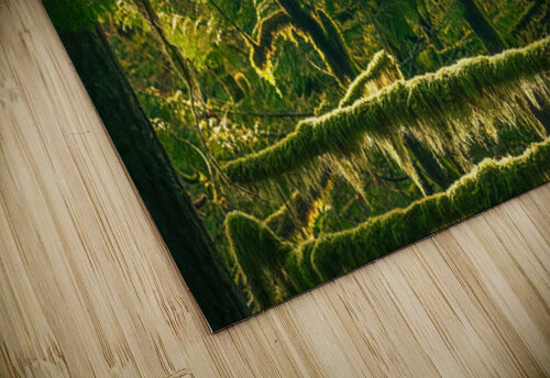 Hanging On Ken Foster puzzle