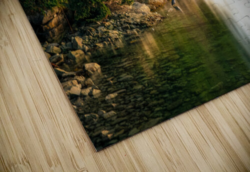 Night Heron Ken Foster puzzle