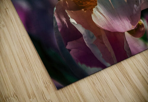 Peony Bride Ken Foster puzzle