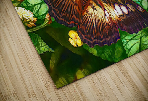 Spot Moth Ken Foster puzzle